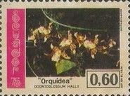 [Flowers, type BJC]