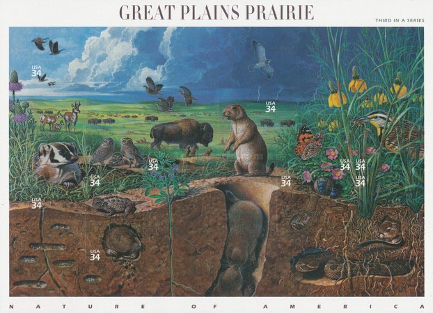 [Nature of America - Great Plains Prairie, type ]