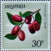 [Forest Fruits, type ANR]