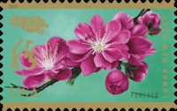 [Chinese New Year - Year of the Pig, type ICY]