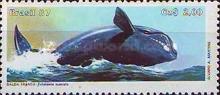 [Endangered Animals, type CEY]