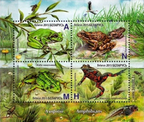 [Fauna - Amphibians, type ]