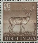 [Spotted Deer, type PE]
