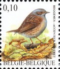 [Birds, type DKU]