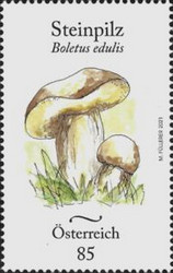 [Mushrooms, type DVQ]