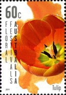 [Flowers - Floral Festival Australia, type DMO]