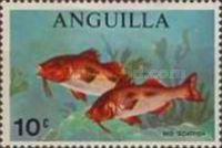 [Saltwater Fish, type AY]