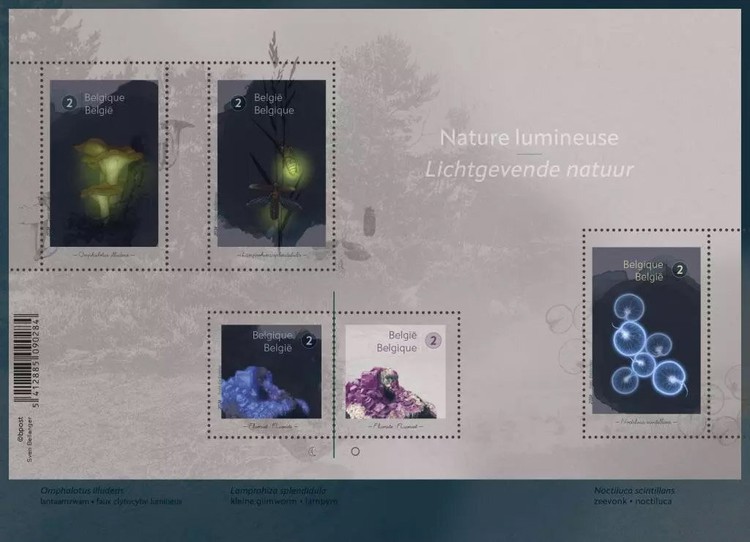 [Luminous Nature, type ]