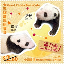 [Giant Panda Twin Cubs, type CQT]