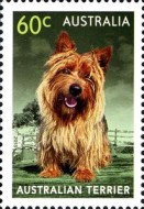 [Top Dogs, type DUS]