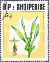 [Medicinal Plants, type XPS]
