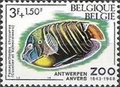[Fish - The 125th Anniversary of Antwerp Zoo, type AJQ]