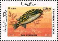 [Marine Life - Fish, type AFA]