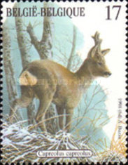 [Fauna - Mammals, type CCB]