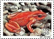 [Frogs, type CTC]