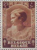 [The struggle against Tuberculosis, type FV1]