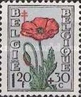 [Flowering Plants - The Struggle against Tuberculosis, type OY]
