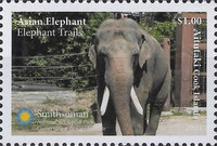 [Fauna - Elephants, type ABG]