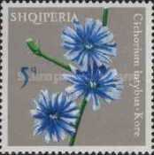 [Flowers, type XMI]