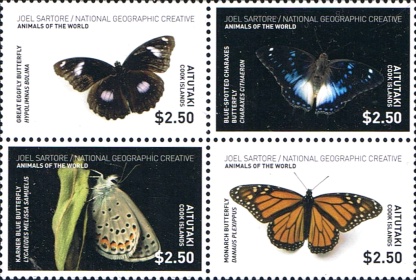 [National Geographic - Butterflies, type ]