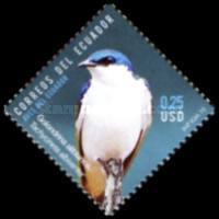 [Birds of Ecuador, type DPK]