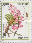 [Orchids, type AQZ]