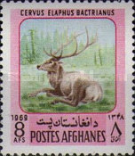 [Fauna - Mammals, type PN]