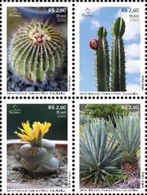 [MERCOSUR Issue - Succulents, type ]