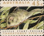 [Threatened Species - Self-Adhesive, type AQO1]