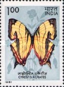 [Butterflies, type AAD]