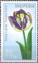 [Flowers - Tulipans, type ALC]
