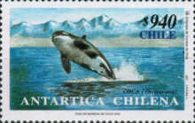 [Antarctica, type BLW]