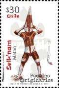 [Indigenous People - Selk'nam, type CIT]