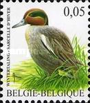 [Birds - Common Teal & Boreal Owl, type DGO]