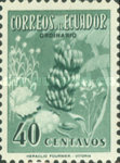 [Bananas, type ACT]