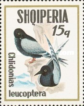 [Seabirds, type AQT]