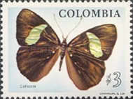 [Colombian Fauna and Flora, type AMZ]