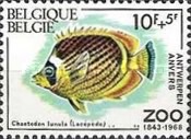 [Fish - The 125th Anniversary of Antwerp Zoo, type AJS]