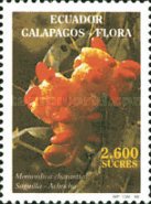 [Galapagos Flora, type CKC]