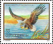 [Birds - White-tailed Eagle, type CMT]