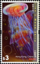 [Jellyfish, type AXR]