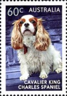 [Top Dogs, type DUT]