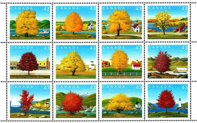 [Canada Day - Maple Trees, type ]