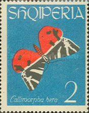 [Butterflies, type MW]