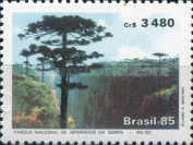 [Aparados da Serra National Park, type CCG]