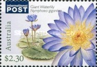 [Flora - Water Plants, type ELC]