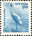 [Wildlife, type BIF]