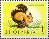 [Animals - Mammals, type OH]