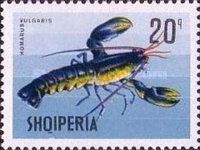 [Marine Life, type XEM]