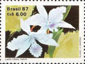 [The 50th Anniversary of the Brazilian Orchid Growers Society, type CFU]